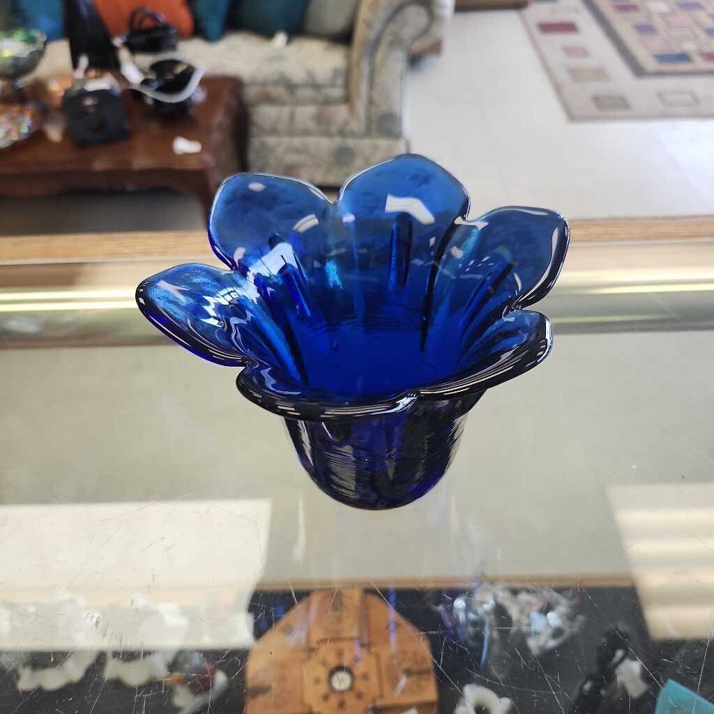 Cobalt Blue Blown Out Flower