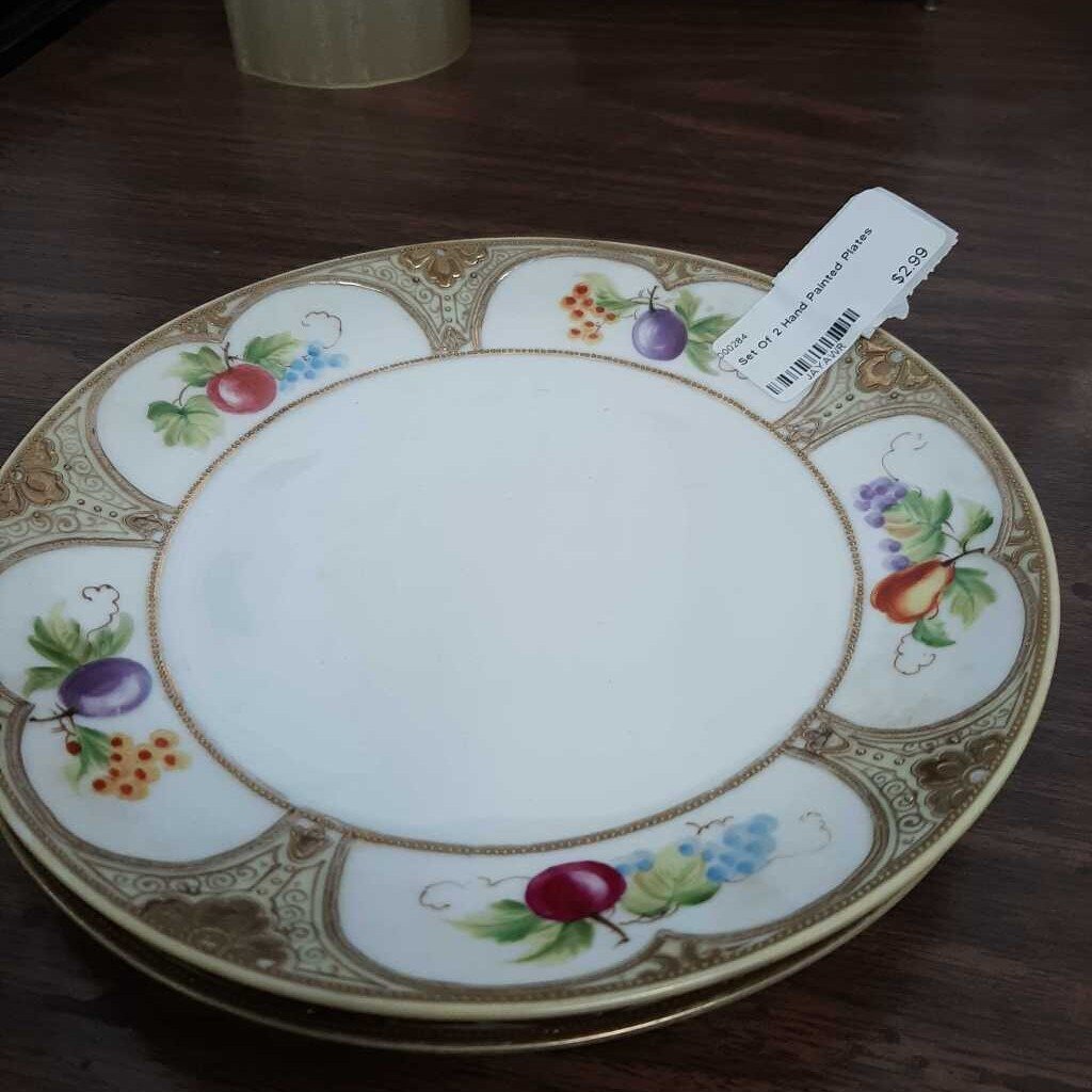Set Of 2 Hand Painted Plates