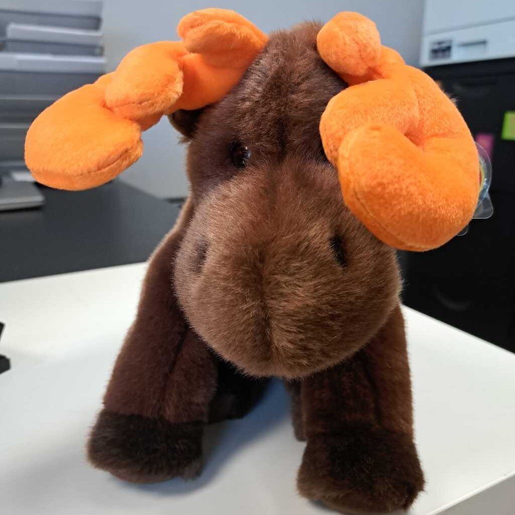 TY Moose Stuffie "Chocolate"