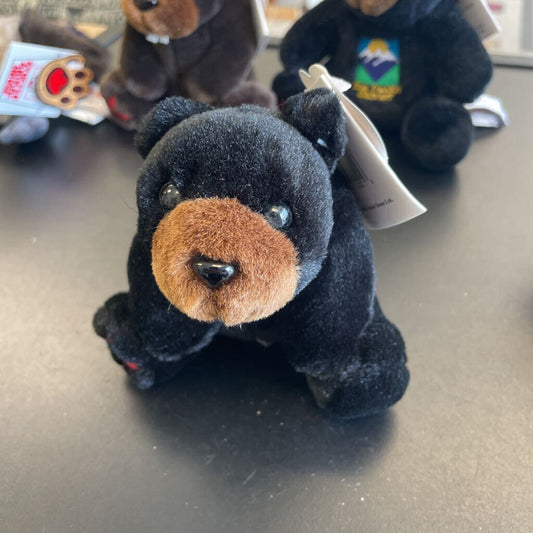 The Stuffed Animal House "Molasses"