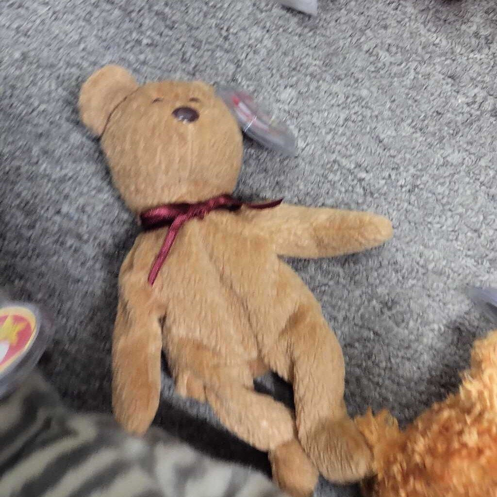 Ty Beanie Baby "Curly"