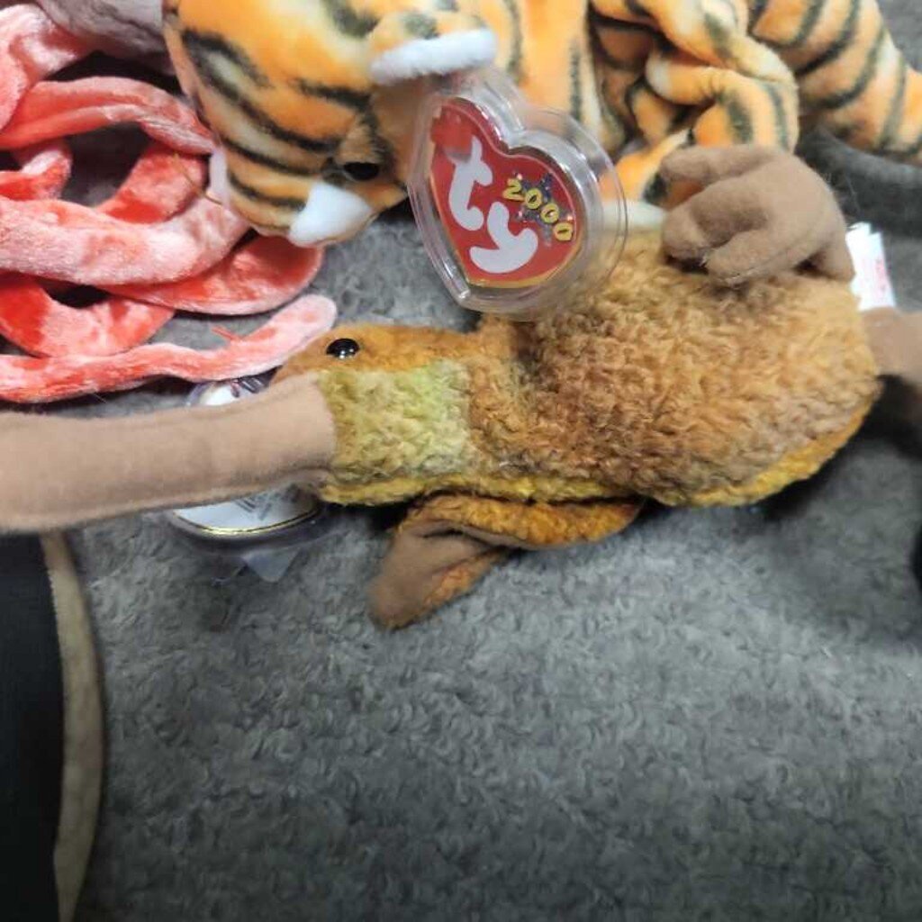Ty Beanie Baby "Beak"