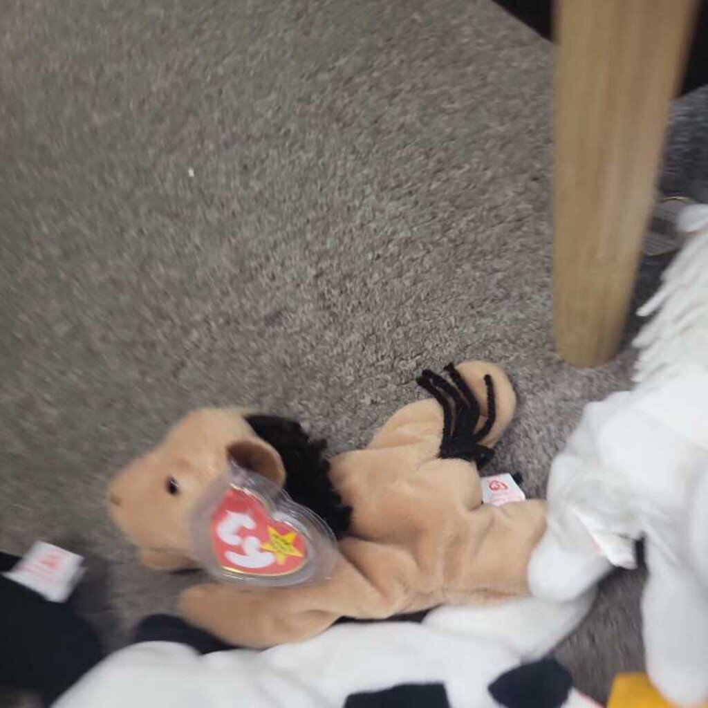 Ty Beanie Baby "Derby"