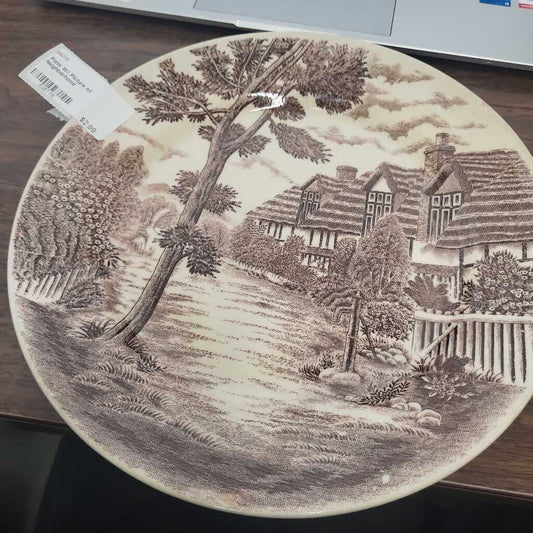 Plate W/ Picture of Neighborhood