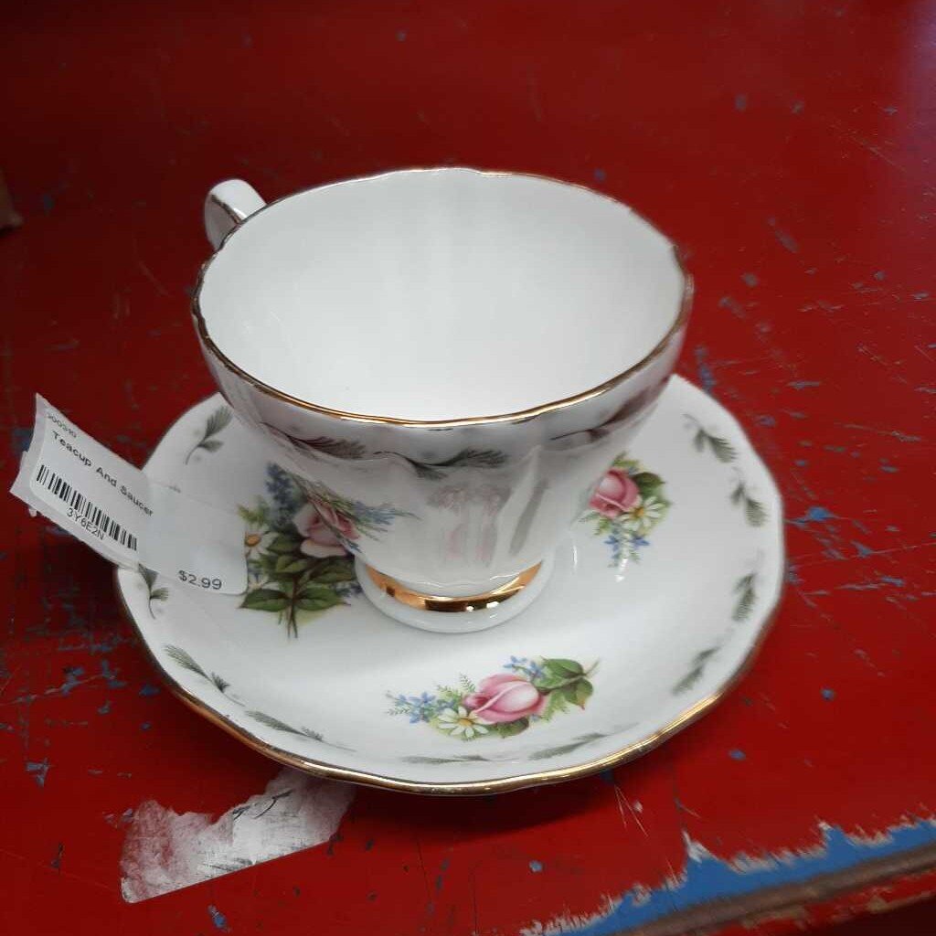 Teacup And Saucer