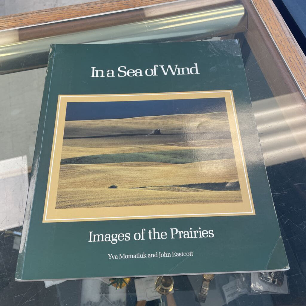 In a Sea of Wind