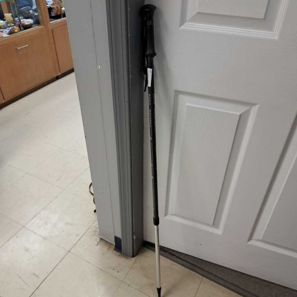 Snow Mountain Ski Pole
