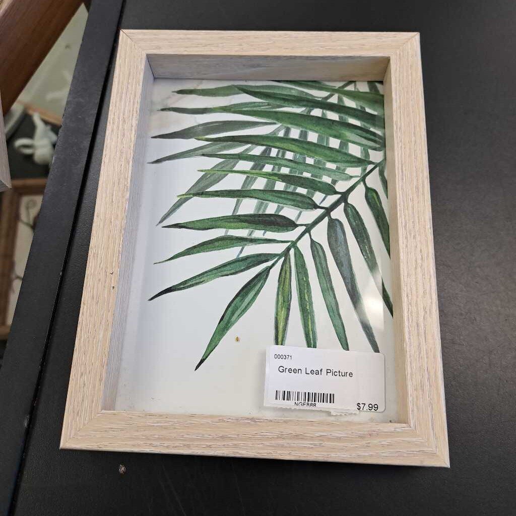 Green Leaf Picture