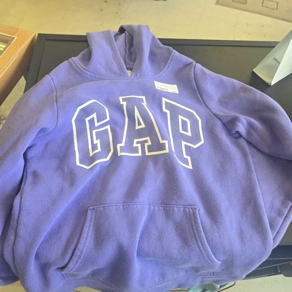 Purple GAP Hoodie