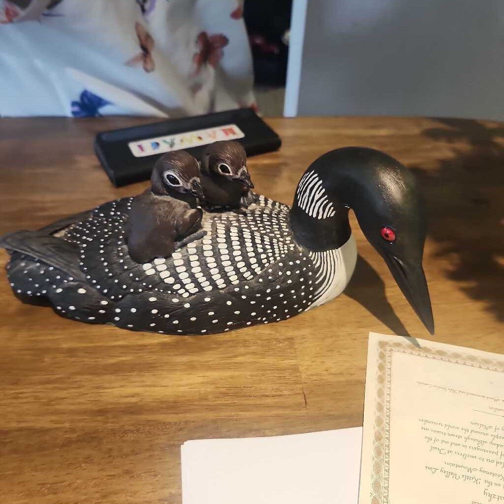 Gosset Preening Duck