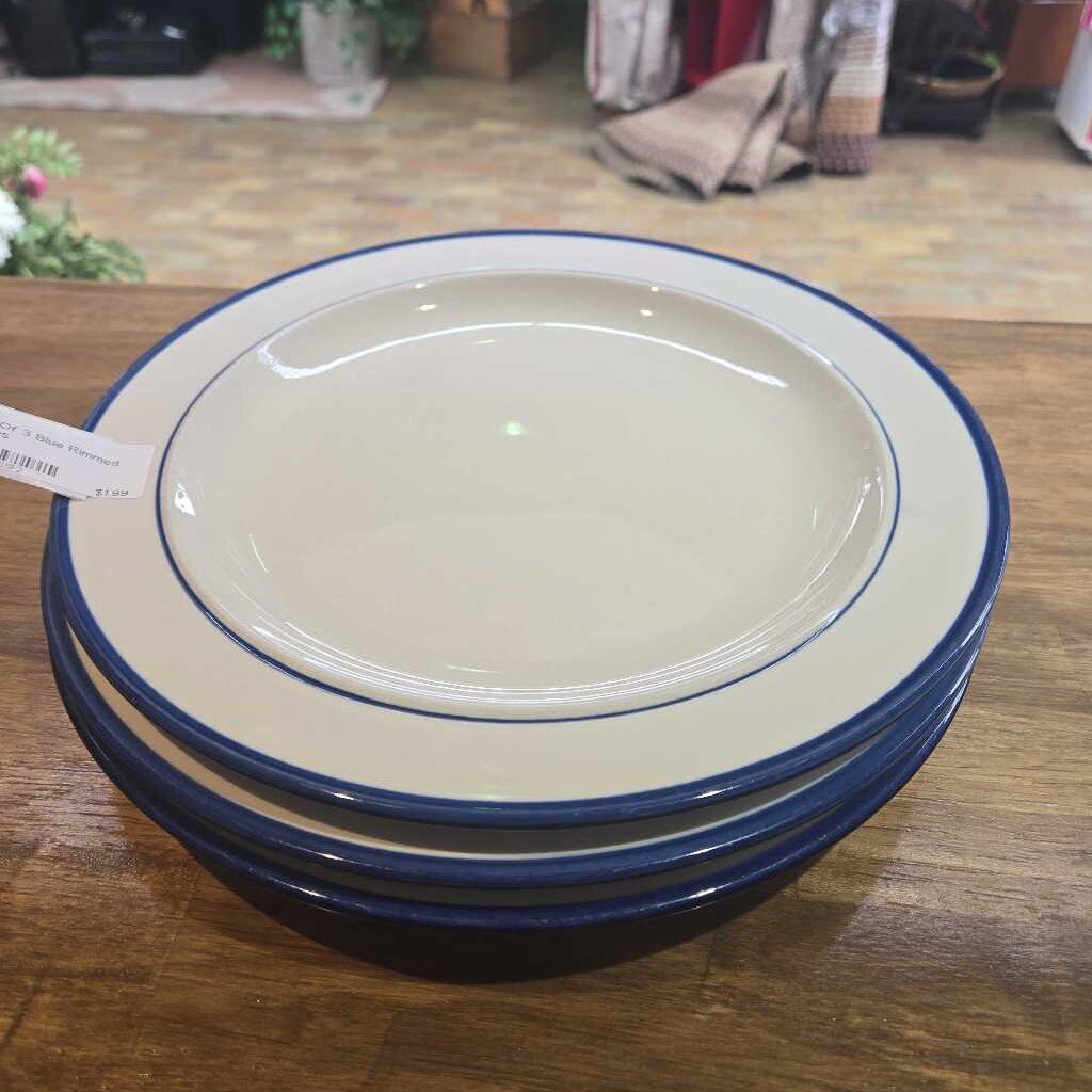 Set Of 3 Blue Rimmed Plates