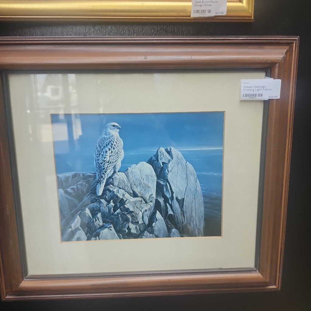 Robert Bateman Evening Light Falcon Picture