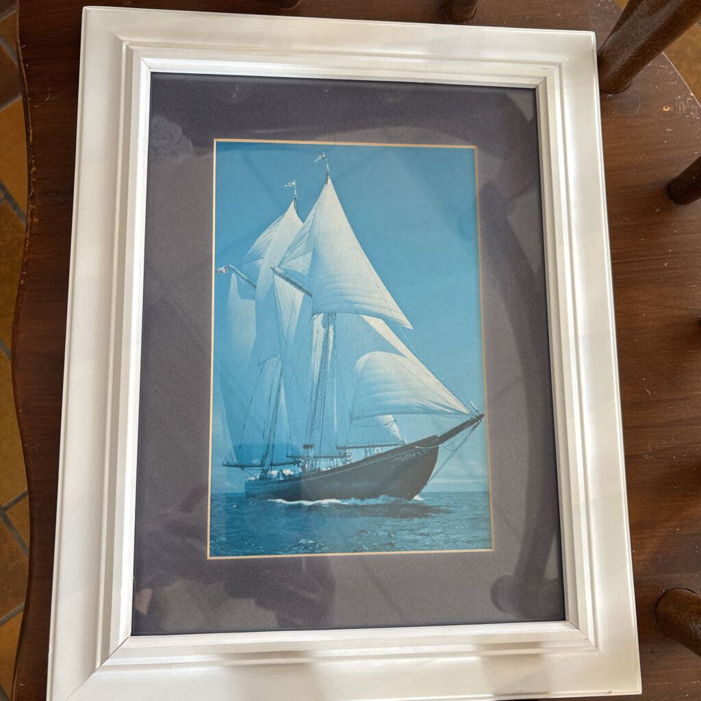 BlueNose Print