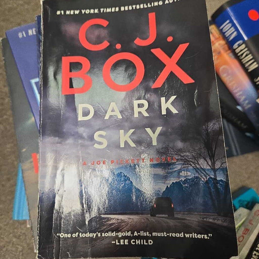 Dark Sky By David Buldacci