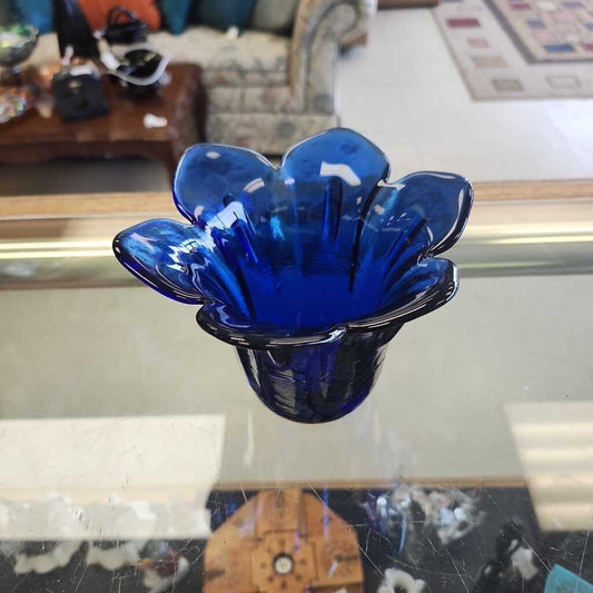 Cobalt Blue Blown Out Flower