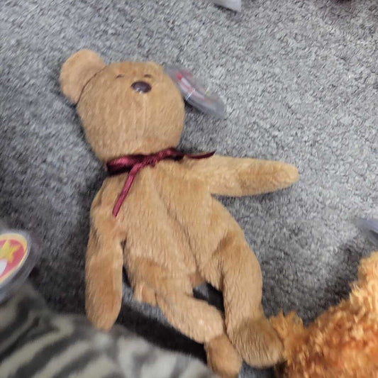 Ty Beanie Baby "Curly"