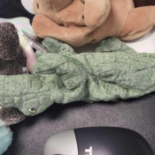 Ty Beanie Baby "Swampy"