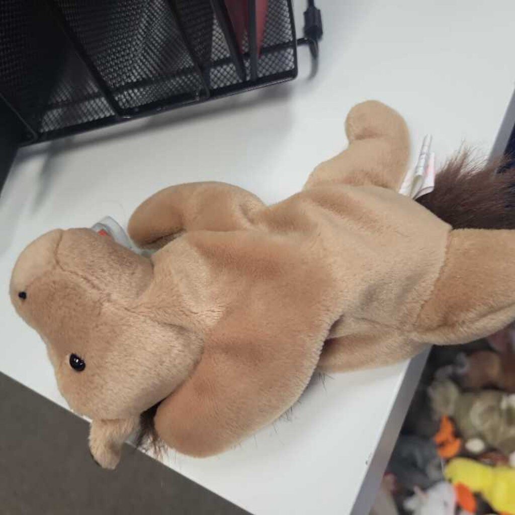 Ty Beanie Baby "Derby"