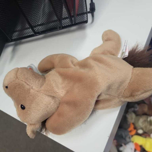 Ty Beanie Baby "Derby"
