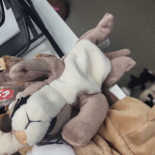 Ty Beanie Baby "Canyon"