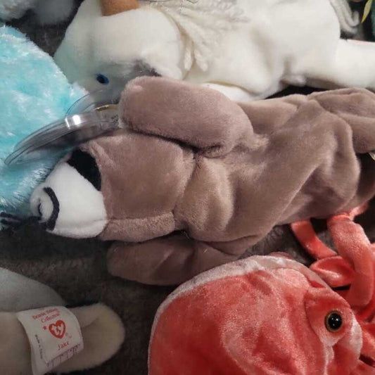 Ty Beanie Baby "Ringo"