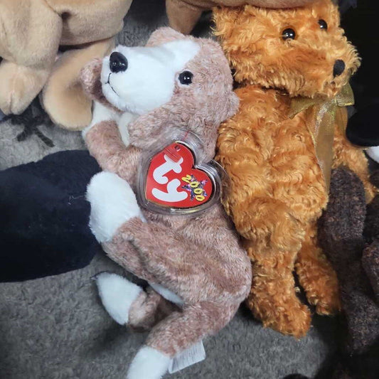 Ty Beanie Baby "Sniffer"