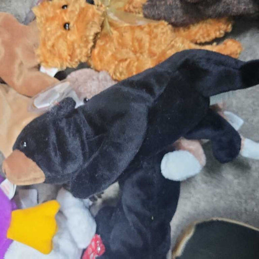 Ty Beanie Baby "Blackie"