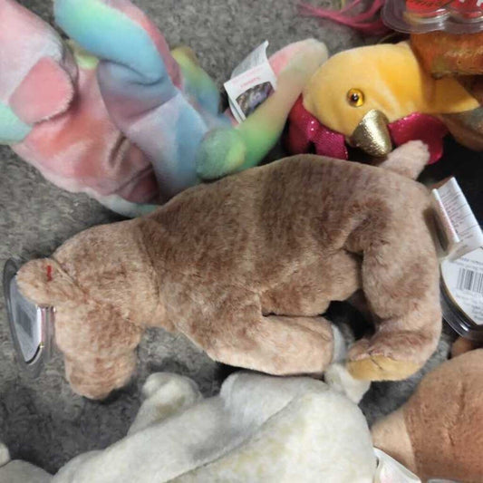 Ty Beanie Baby "Pecan"
