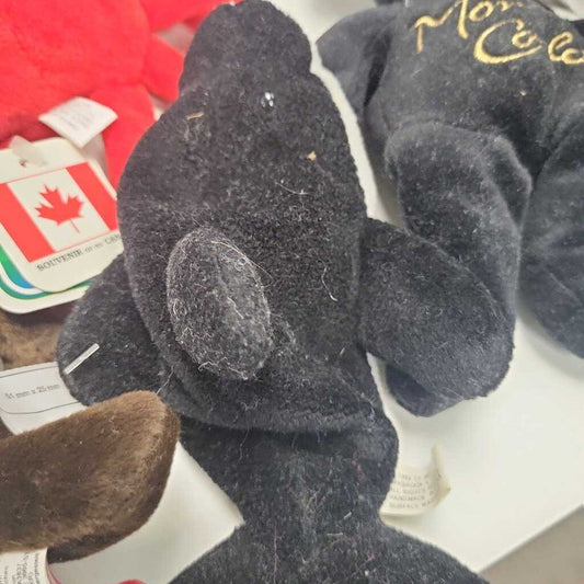 Orca Teddy