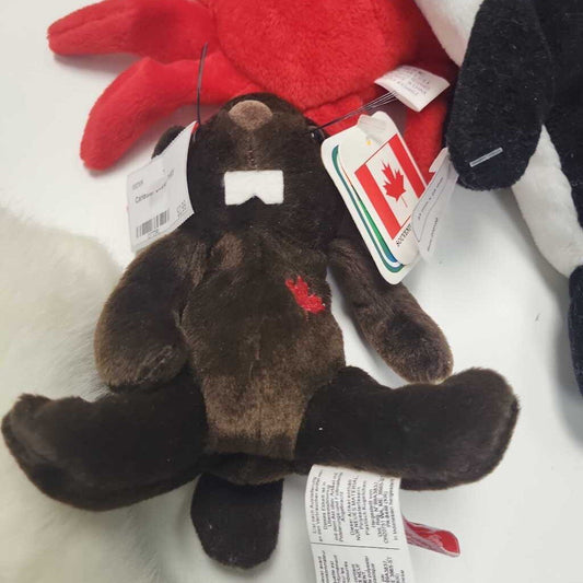 Canadian Beaver Teddy