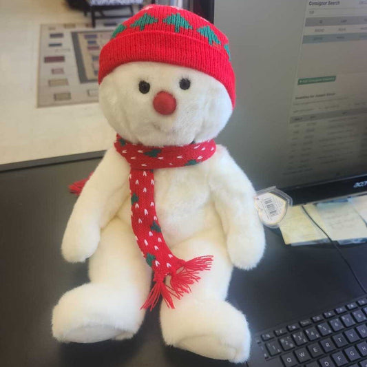 Ty Beanie Buddy " SnowBoy"