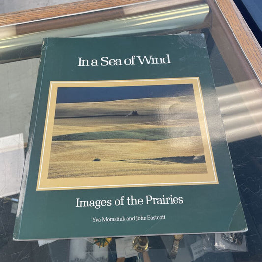 In a Sea of Wind