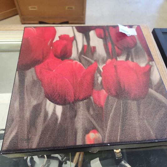Rose Picture