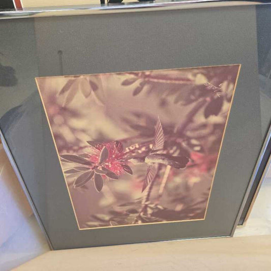 Hummingbird Picture In Frame