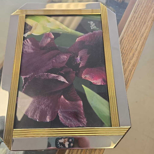 Purple Iris Flower Picture In Frame