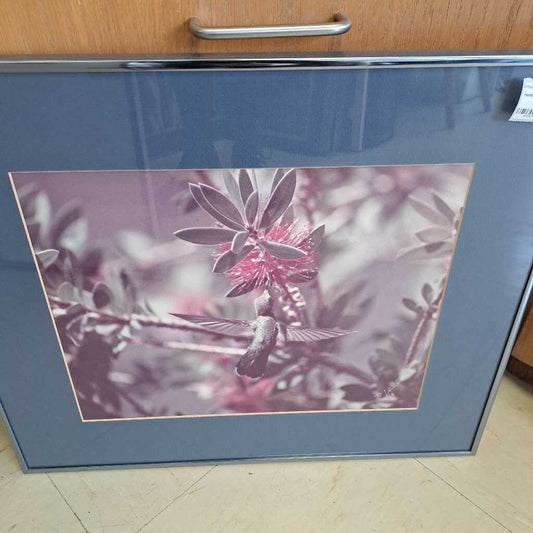 Hummingbird Picture In Frame