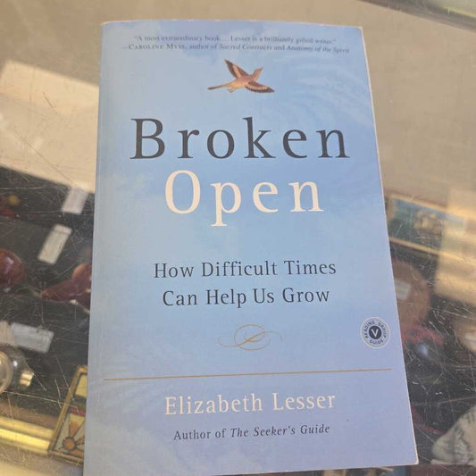 Broken Open By Elizabeth Lesser