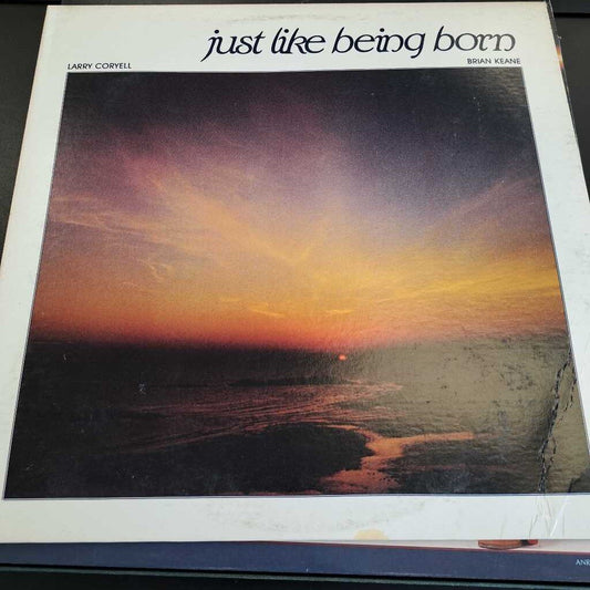Larry Coryell & Brian Keane Just Like Being Born