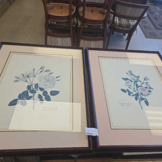 Pierre-Joseph Redoute Print In Frame