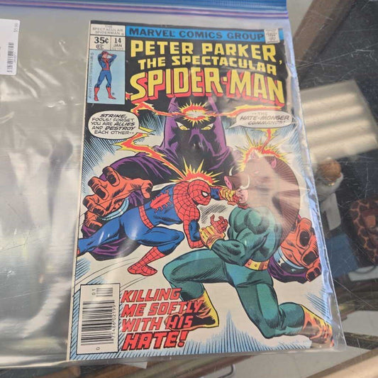 Peter Parker, The Spectacular Spider Man -14