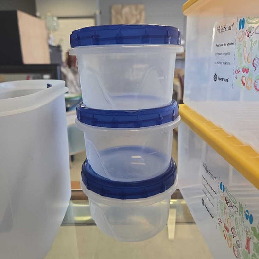 3 pc Ziploc Set With Lids