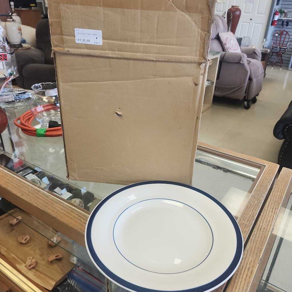 10 Blue/White Dinner Plates