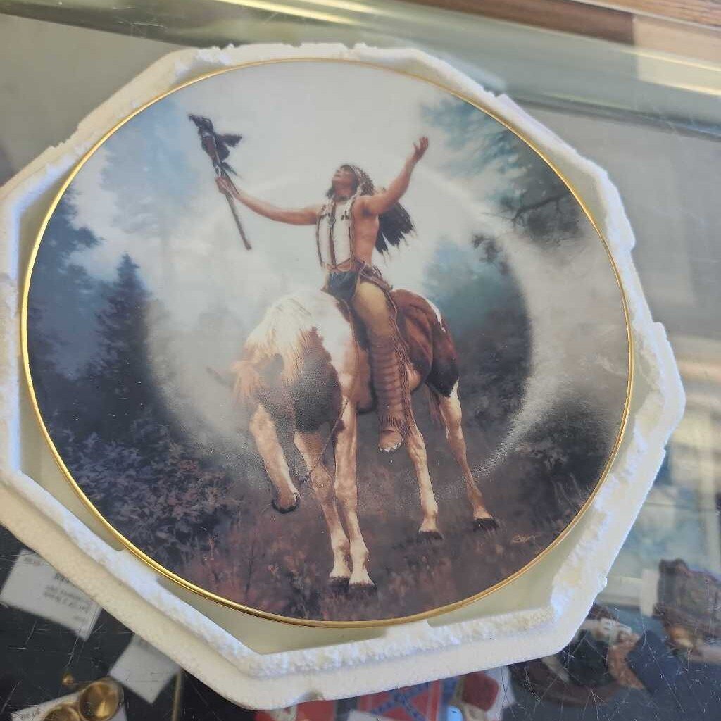 1990 Hamilton Mystic Warrior Plates