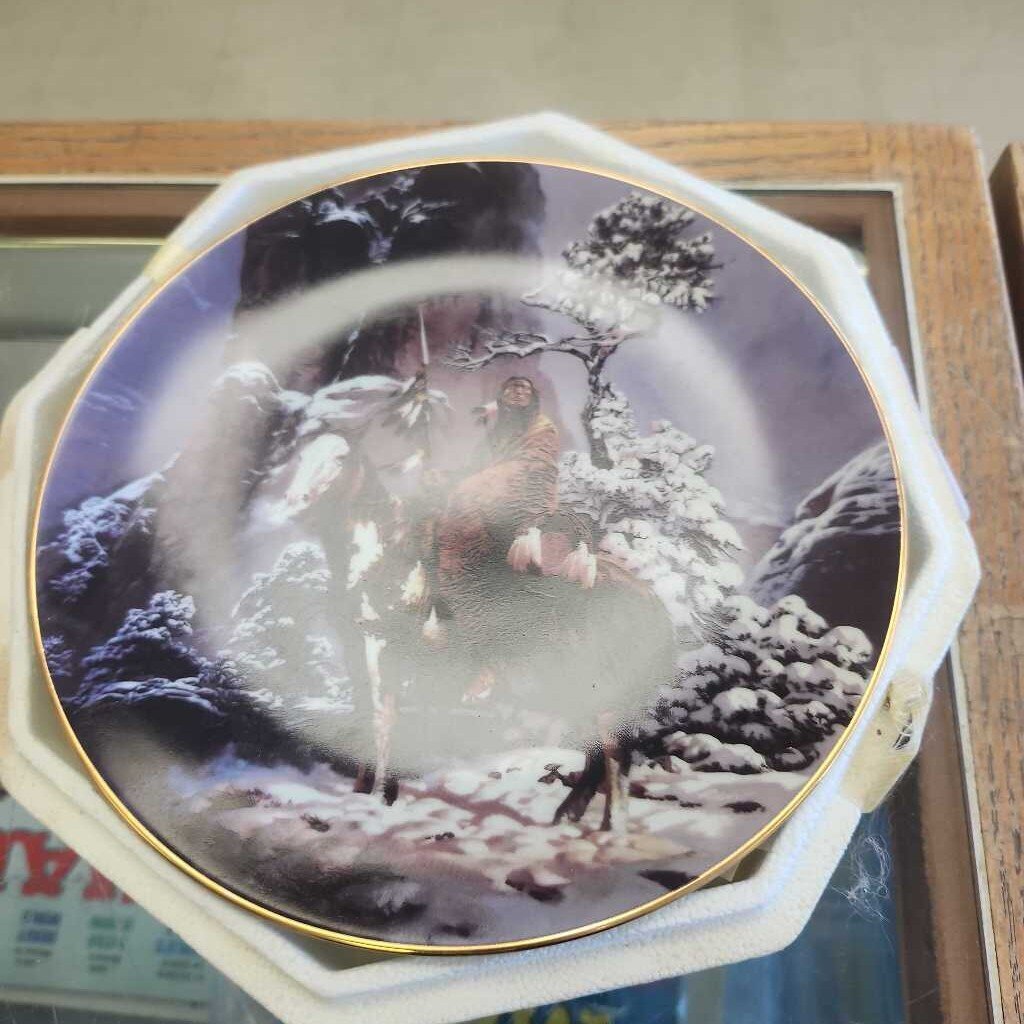 1990 Hamilton Mystic Warrior Plates