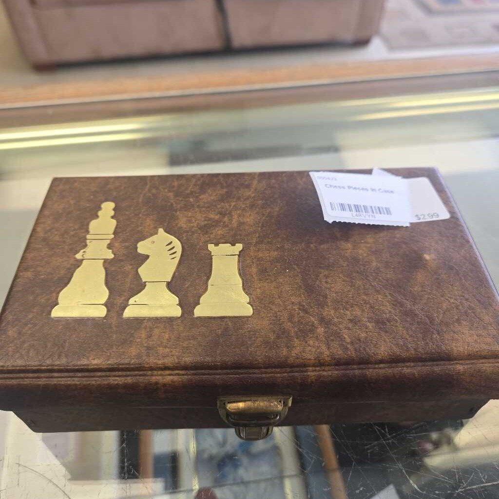 Chess Pieces In Case