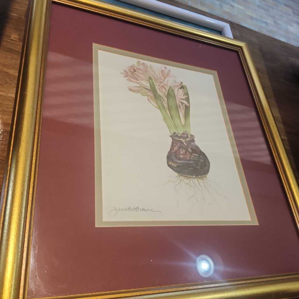 Janet Brown Flower Design Picture