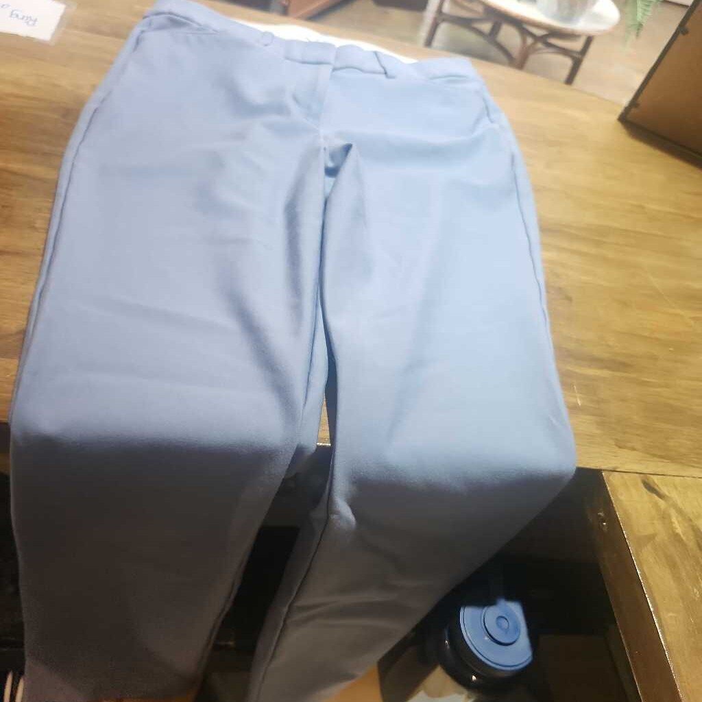 Ricki Size 10 Blue Dress Pants