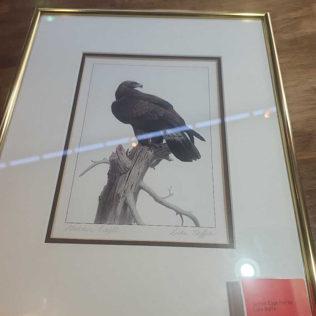 Golden Eagle Print by Luke Baffin